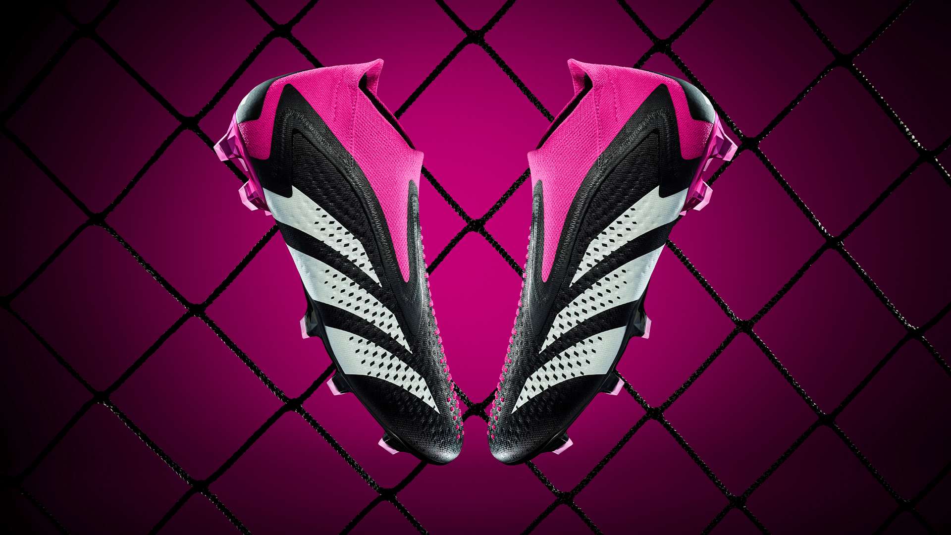 角色分配的 角色分配的