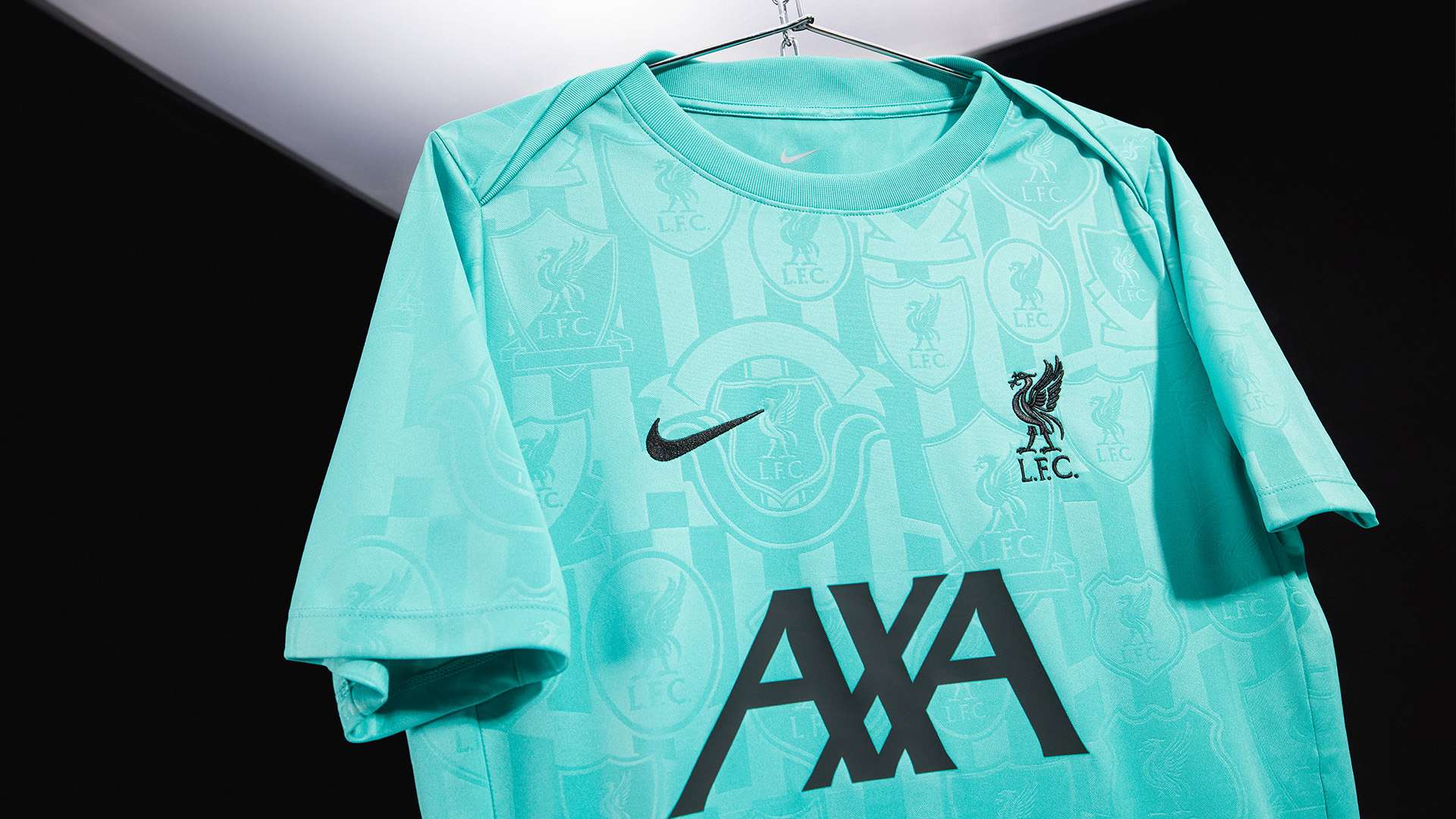 力与稳定性 力与稳定性